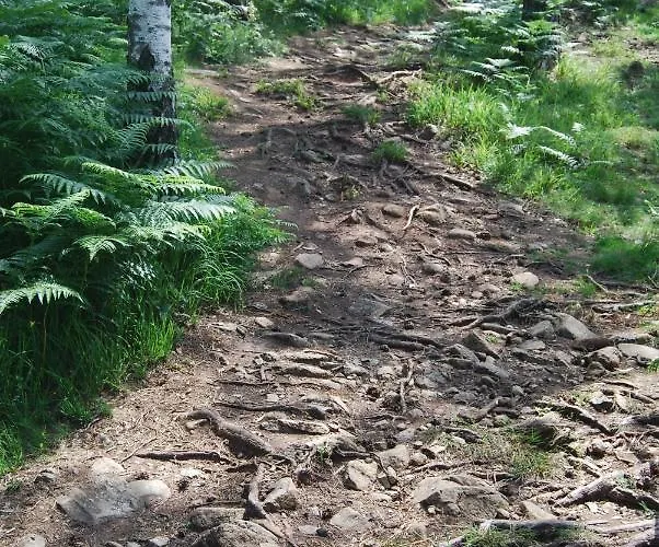 Apartamento Oblacak *